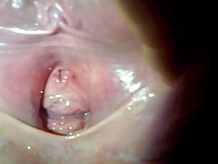 Une fille chaude me fait une gorge profonde et saute sur ma bite ronde xxx