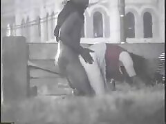 Ado allemande à genoux suce puis mange site porno amateur gratuit du sperme