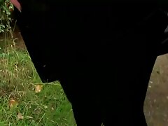 Femme chaude sucer la pornos gratuites bite sur cam