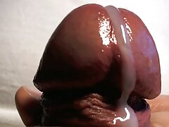 Nadmir, Trofim et Renata en vidéo films x matures